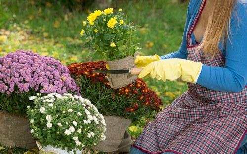 Operator inspecting landscaping equipment outdoors