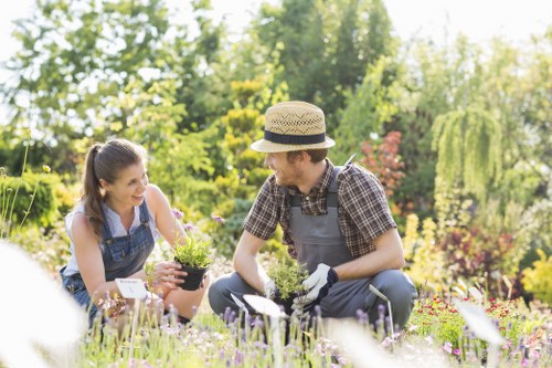 Professional landscaper planning a garden design in Erith