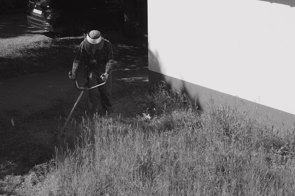 A young male gardener with dark skin and short black hair is working in a lush, well-maintained garden near Erith Station, surrounded by dense, green coniferous trees with textured foliage, straight t